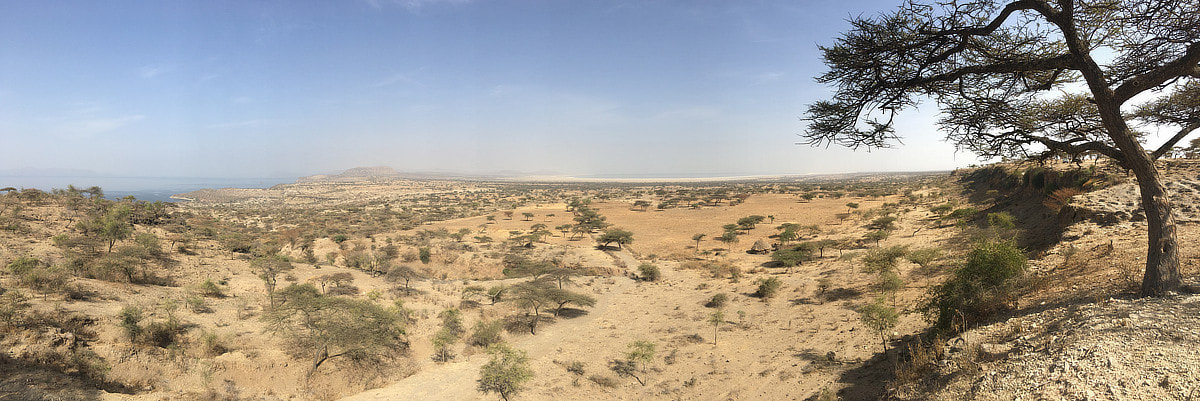 Picture of the savannah landscape in Ethiopia