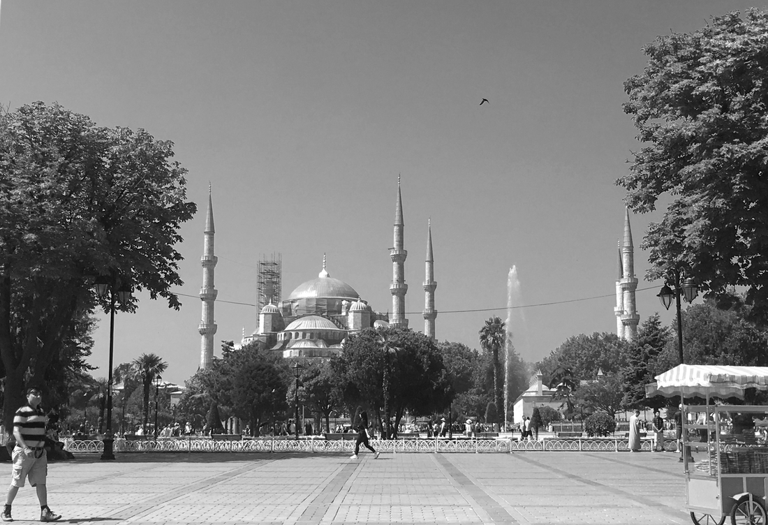 Istanbul. Blue Mosque. View of the mosque from the adjacent park 