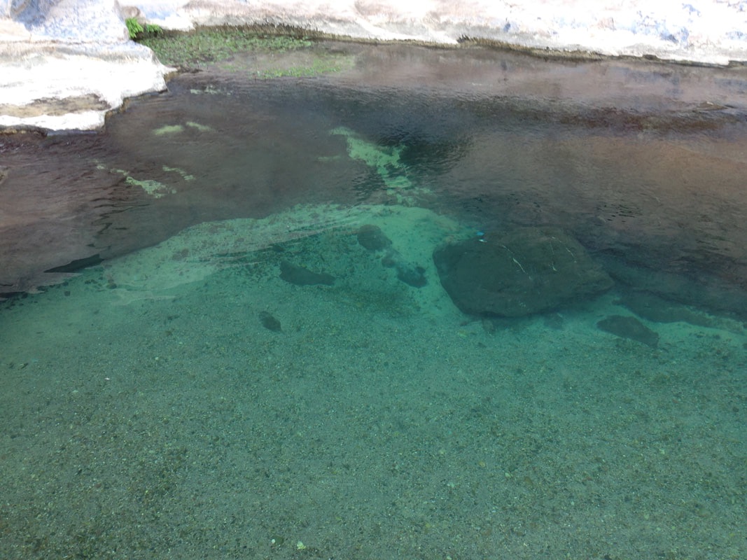 Picture of a pool of clear water in a deeper area of a wadi